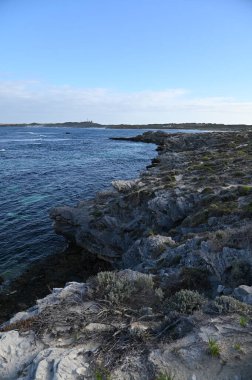 Rottnest Adası, Avustralya 2 Haziran 2025: Batı Avustralya 'nın Rottnest Adası