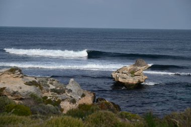 Rottnest Adası, Avustralya 2 Haziran 2025: Batı Avustralya 'nın Rottnest Adası