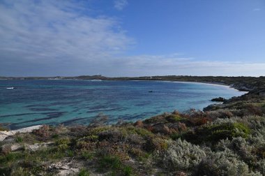 Rottnest Adası, Avustralya 2 Haziran 2025: Batı Avustralya 'nın Rottnest Adası