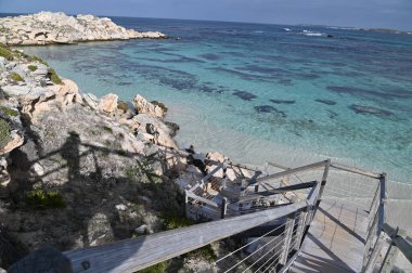 Rottnest Adası, Avustralya 2 Haziran 2025: Batı Avustralya 'nın Rottnest Adası