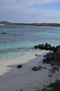 Rottnest Adası, Avustralya 2 Haziran 2025: Batı Avustralya 'nın Rottnest Adası