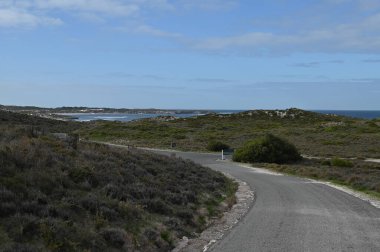 Rottnest Adası, Avustralya 2 Haziran 2025: Batı Avustralya 'nın Rottnest Adası