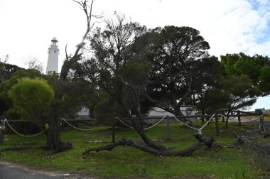 Rottnest Adası, Avustralya 2 Haziran 2025: Batı Avustralya 'nın Rottnest Adası