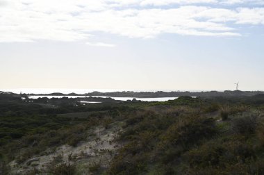 Rottnest Adası, Avustralya 2 Haziran 2025: Batı Avustralya 'nın Rottnest Adası