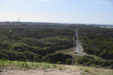 Rottnest Adası, Avustralya 2 Haziran 2025: Batı Avustralya 'nın Rottnest Adası