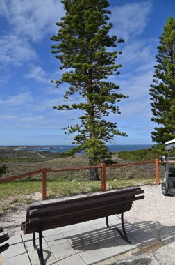 Rottnest Adası, Avustralya 2 Haziran 2025: Batı Avustralya 'nın Rottnest Adası