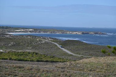 Rottnest Adası, Avustralya 2 Haziran 2025: Batı Avustralya 'nın Rottnest Adası