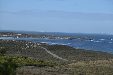 Rottnest Adası, Avustralya 2 Haziran 2025: Batı Avustralya 'nın Rottnest Adası