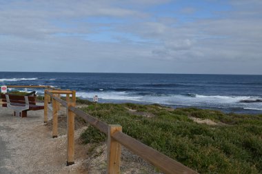 Rottnest Adası, Avustralya 2 Haziran 2025: Batı Avustralya 'nın Rottnest Adası