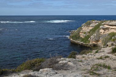 Rottnest Adası, Avustralya 2 Haziran 2025: Batı Avustralya 'nın Rottnest Adası