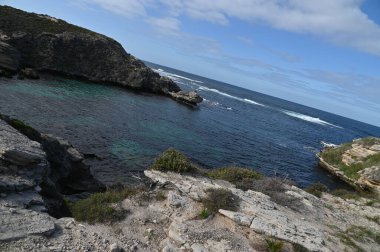 Rottnest Adası, Avustralya 2 Haziran 2025: Batı Avustralya 'nın Rottnest Adası