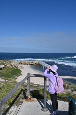 Rottnest Adası, Avustralya 2 Haziran 2025: Batı Avustralya 'nın Rottnest Adası