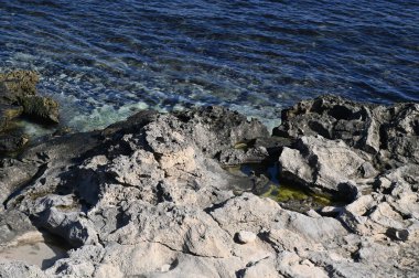 Rottnest Adası, Avustralya 2 Haziran 2025: Batı Avustralya 'nın Rottnest Adası