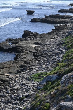 Rottnest Adası, Avustralya 2 Haziran 2025: Batı Avustralya 'nın Rottnest Adası