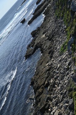 Rottnest Adası, Avustralya 2 Haziran 2025: Batı Avustralya 'nın Rottnest Adası