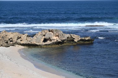 Rottnest Adası, Avustralya 2 Haziran 2025: Batı Avustralya 'nın Rottnest Adası