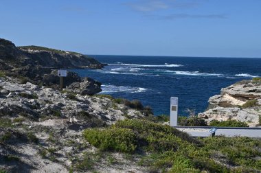 Rottnest Adası, Avustralya 2 Haziran 2025: Batı Avustralya 'nın Rottnest Adası
