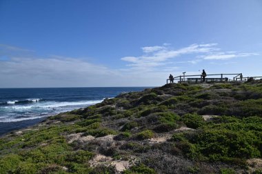 Rottnest Adası, Avustralya 2 Haziran 2025: Batı Avustralya 'nın Rottnest Adası