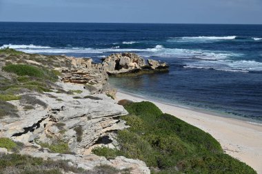 Rottnest Adası, Avustralya 2 Haziran 2025: Batı Avustralya 'nın Rottnest Adası