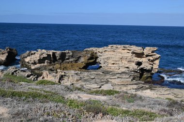 Rottnest Adası, Avustralya 2 Haziran 2025: Batı Avustralya 'nın Rottnest Adası