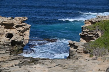 Rottnest Adası, Avustralya 2 Haziran 2025: Batı Avustralya 'nın Rottnest Adası