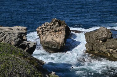Rottnest Adası, Avustralya 2 Haziran 2025: Batı Avustralya 'nın Rottnest Adası