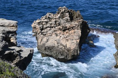 Rottnest Adası, Avustralya 2 Haziran 2025: Batı Avustralya 'nın Rottnest Adası