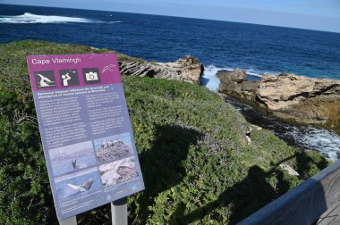 Rottnest Adası, Avustralya 2 Haziran 2025: Batı Avustralya 'nın Rottnest Adası