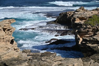 Rottnest Adası, Avustralya 2 Haziran 2025: Batı Avustralya 'nın Rottnest Adası