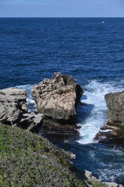 Rottnest Adası, Avustralya 2 Haziran 2025: Batı Avustralya 'nın Rottnest Adası