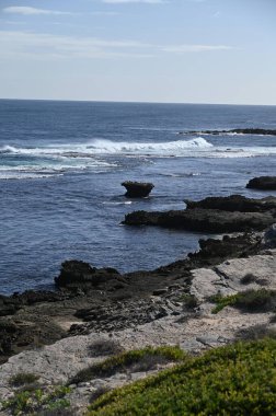 Rottnest Adası, Avustralya 2 Haziran 2025: Batı Avustralya 'nın Rottnest Adası