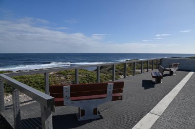 Rottnest Adası, Avustralya 2 Haziran 2025: Batı Avustralya 'nın Rottnest Adası