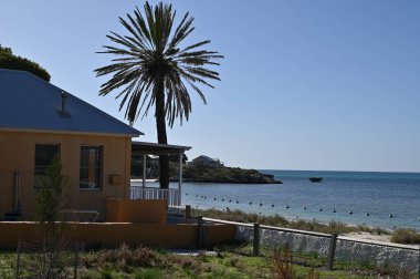Rottnest Adası, Avustralya 2 Haziran 2025: Batı Avustralya 'nın Rottnest Adası