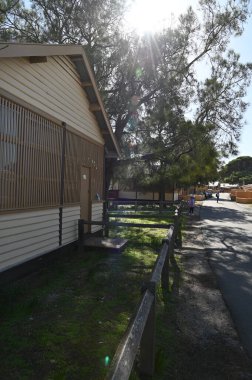 Rottnest Adası, Avustralya 2 Haziran 2025: Batı Avustralya 'nın Rottnest Adası