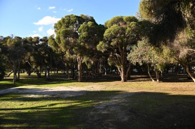 Whiteman, Avustralya 1 Haziran 2025: The Whiteman Park, Batı Avustralya 'nın Perth' ü