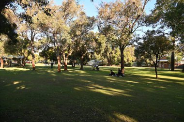 Whiteman, Avustralya 1 Haziran 2025: The Whiteman Park, Batı Avustralya 'nın Perth' ü