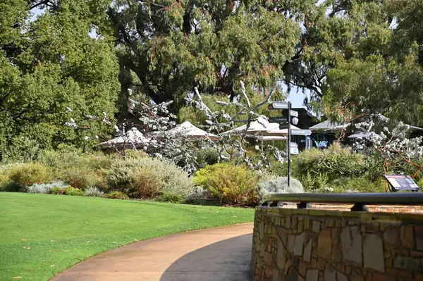 Perth, Avustralya 4 Haziran 2025: Perth CBD 'nin Krallar Parkı