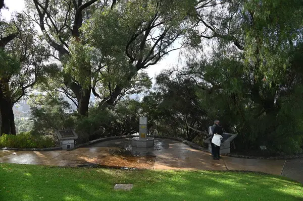 Perth, Avustralya 4 Haziran 2025: Perth CBD 'nin Krallar Parkı