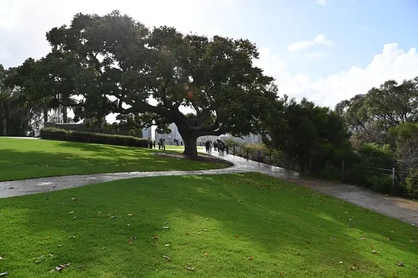 Perth, Avustralya 4 Haziran 2025: Perth CBD 'nin Krallar Parkı