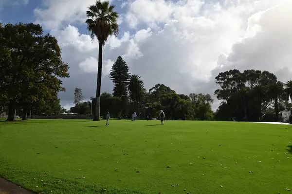 Perth, Avustralya 4 Haziran 2025: Perth CBD 'nin Krallar Parkı