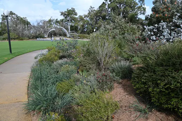 Perth, Avustralya 4 Haziran 2025: Perth CBD 'nin Krallar Parkı