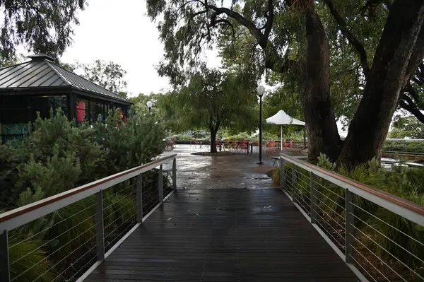 Perth, Avustralya 4 Haziran 2025: Perth CBD 'nin Krallar Parkı