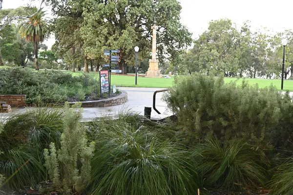 Perth, Avustralya 4 Haziran 2025: Perth CBD 'nin Krallar Parkı