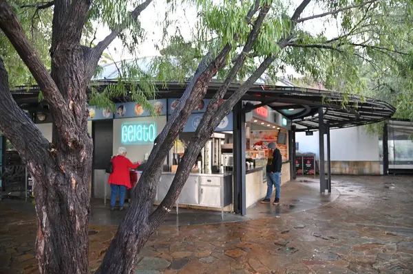 Perth, Avustralya 4 Haziran 2025: Perth CBD 'nin Krallar Parkı