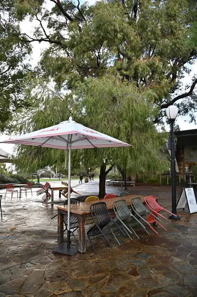 Perth, Avustralya 4 Haziran 2025: Perth CBD 'nin Krallar Parkı