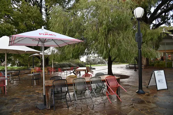 Perth, Avustralya 4 Haziran 2025: Perth CBD 'nin Krallar Parkı