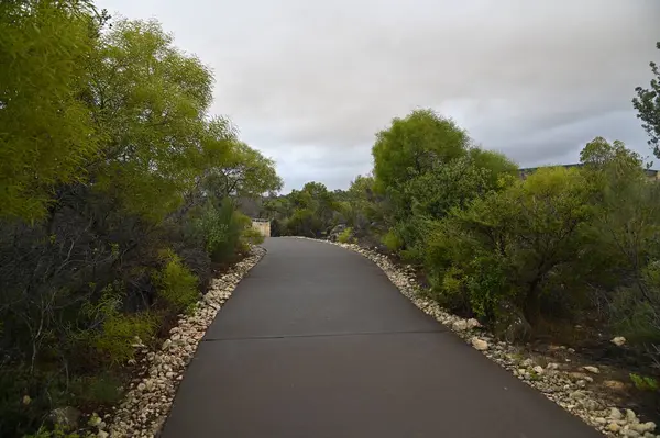 Nambung, Avustralya 2 Haziran 2025: Batı Avustralya 'nın Pinnacles Çölü