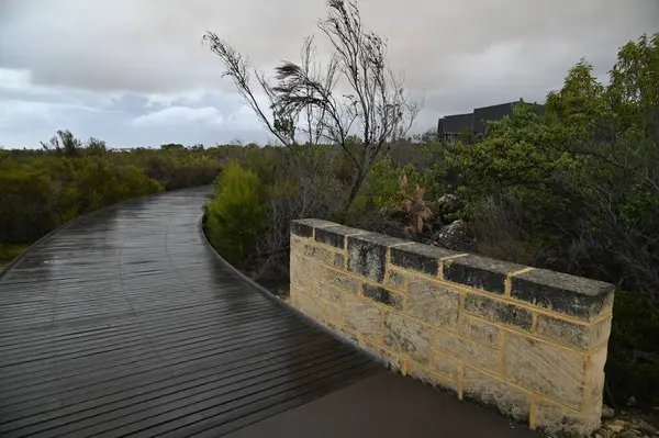 Nambung, Avustralya 2 Haziran 2025: Batı Avustralya 'nın Pinnacles Çölü
