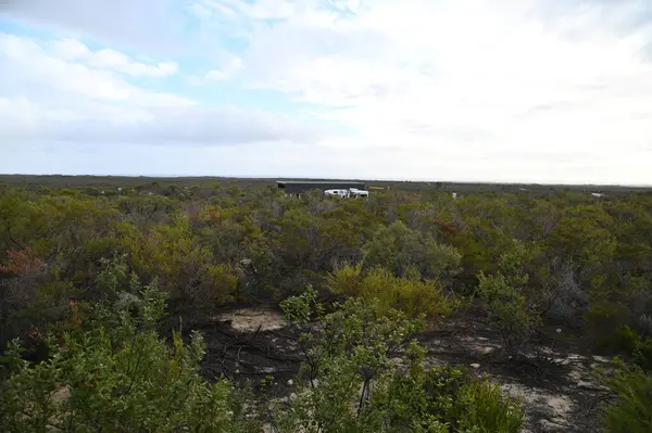 Nambung, Avustralya 2 Haziran 2025: Batı Avustralya 'nın Pinnacles Çölü