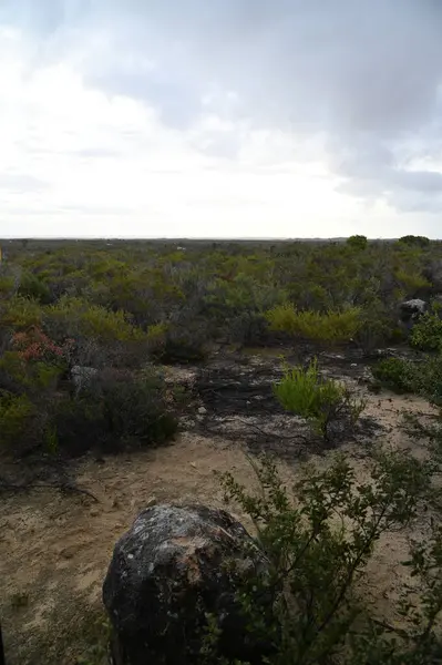 Nambung, Avustralya 2 Haziran 2025: Batı Avustralya 'nın Pinnacles Çölü